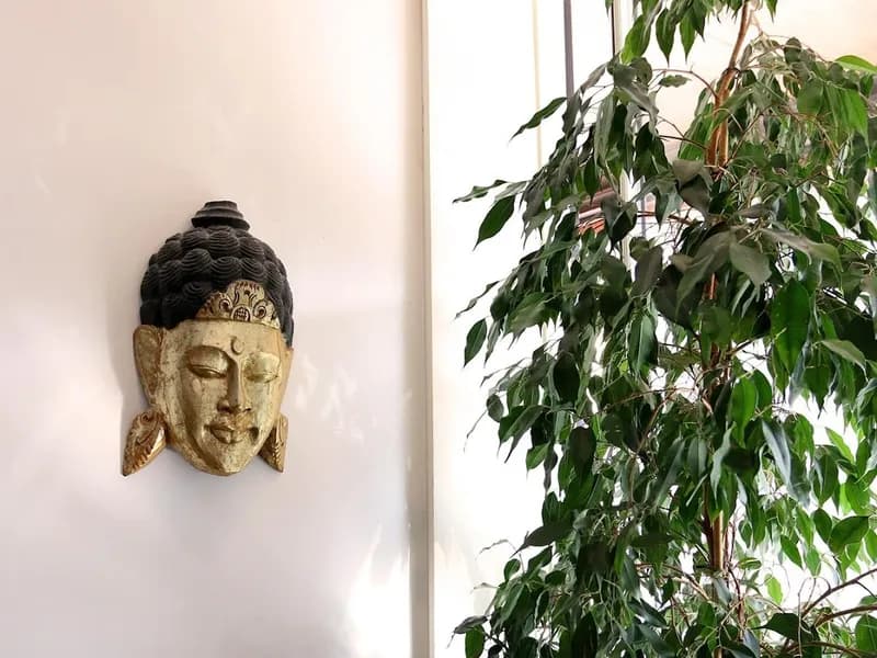 BoCo Yoga & Pilates pilates studio in Surbiton