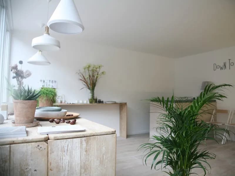 Down To Earth Yoga, Pilates & Massage pilates studio in Tufnell Park