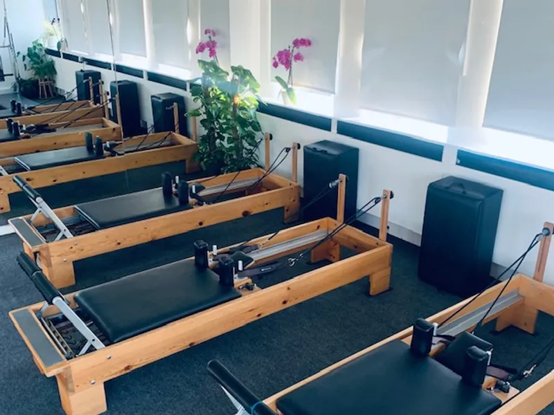 Muswell Hill Pilates pilates studio in Stroud Green