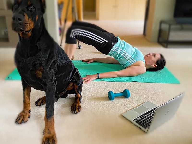 PilatEster PILATES Online classes pilates studio in Jewellery Quarter